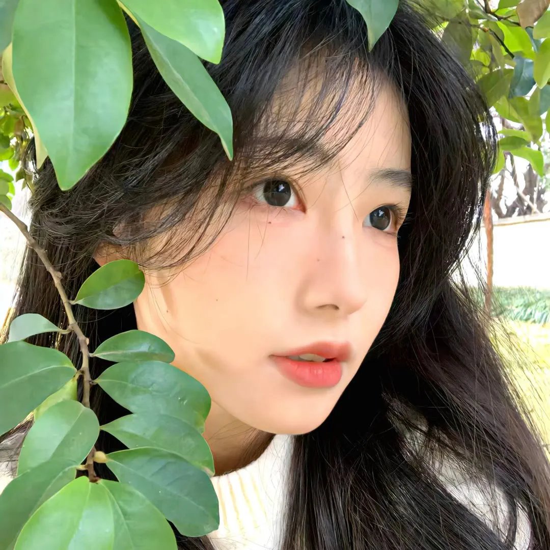 滞留之死